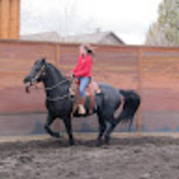 Meet your Posher, Riley - Picture 1 of 1